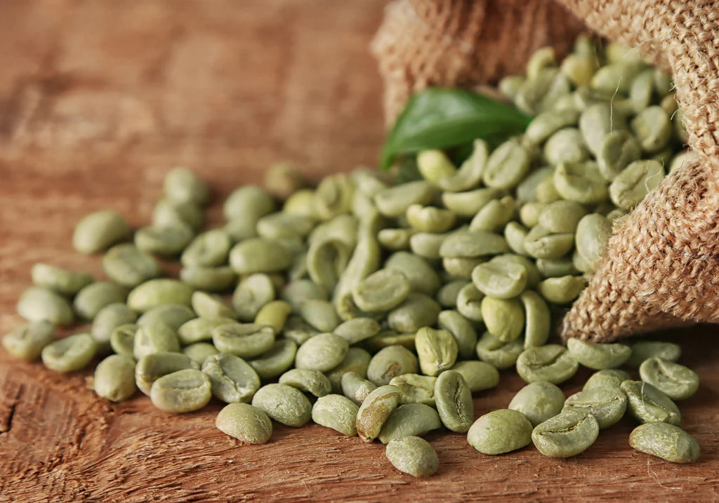 GREEN GOLD FROM CHIAPAS FOR TOASTERS