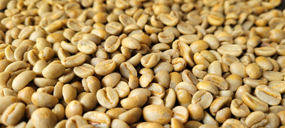 CAFÉ VERDE MOLIDO NATURAL 500gr